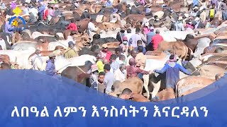 MK TV || ሥርዓተ ቤተክርስቲያን || ለበዓል ለምን እንስሳትን እናርዳለን