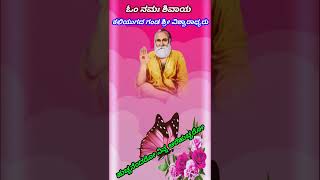 ಹುಚ್ಚನೆಂದರೋ ನಿನ್ನ ಅರೆಹುಚ್ಚರೋ ನಿನ್ನ ಅಂತರಾತ್ಮದ ಬಲುವು ಯಾರು ಬಲ್ಲರು ತಂದೆ ಯಾರು ಬಲ್ಲರೂ   bhaktigite