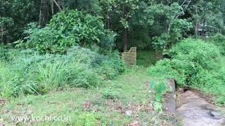 98 cents land at Moonumuri | Kodaly | Kodakara | Thrissur District | Kerala | Price 70 Lakhs