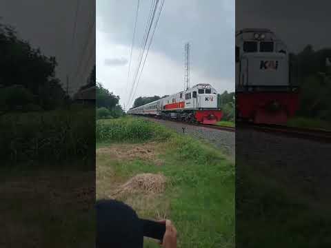 Sta Jember Setengahdua Ka Mutim Cc2018321pwt Musisiterbaik