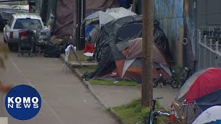 Seattle's Little Saigon homeless crisis not improving