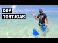 EXPLORING DRY TORTUGAS NATIONAL PARK | Journey to Florida's Hidden Gem