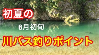 初夏の川バス釣りポイント  6月初旬