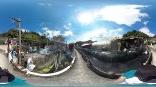 【360°】大分県 竹田湧水群 河宇田湧水【VR】