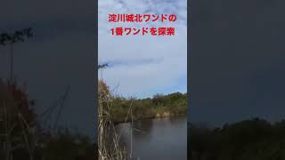 淀川バス釣りポイント。城北ワンドの1番ワンドを探索してみた。#shorts #fishing#淀川