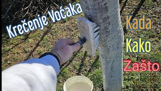 Painting Fruit Trees - How, When and Why 😀