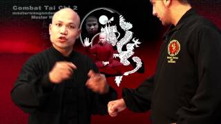 Tai chi combat tai chi chuan fight style use chen tai chi – lesson 19