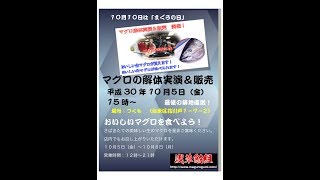 マグロ解体実演＆販売 マグロ祭り20181005ver