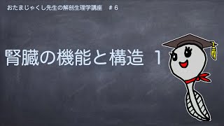 #6腎臓の機能と構造１【看護師・看護学生のための解剖生理学講座】