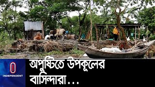 জলাবদ্ধতা ও  লবনাক্ততায় কমেছে সাতক্ষীরার উপকূলীয় অঞ্চলের ফলন || #Satkhira