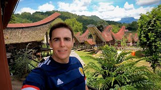 $60 Village Homestay in Toraja, Indonesia 🇮🇩