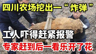 四川农场挖出一“炸弹”！工人吓得赶紧报警，专家赶到后一看乐开了花！