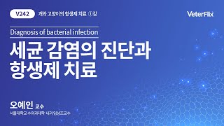 [베터플릭스] 2021 개와 고양이의 항생제 치료 1강 – 세균 감염의 진단과 항생제 치료_강의