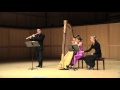 Piazzolla-Cafe 1930-History of Tango-Thomas Robertello, flute, Maria Luisa Rayan, harp