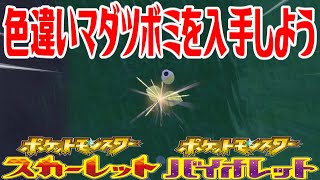 【ポケモンSV】色違いマダツボミを入手しよう【ポケットモンスター スカーレット・バイオレット ゼロの秘宝 碧の仮面】Pocket Monsters