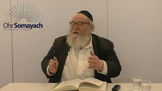 Rambam's Intro to Perek 11 of Sanhedrin - Reward, Publishment, and Love (HaRav Yitzchak Breitowitz)