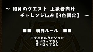 10月チャレンジダンジョン9 セイナ×シーウルフ 【パズドラ】