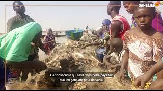 Mopti : la pêche collective face aux défis climatiques et sécuritaires