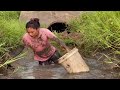 harvesting catfish u0026 melons on the farm good day to go to the market new life