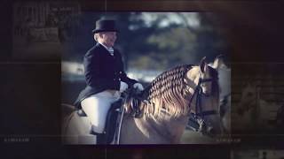 Breed Spotlight: Walking Horse
