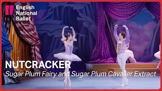 Nutcracker: Sugar Plum Fairy and Sugar Plum Cavalier Extract  | English National Ballet