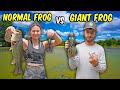 I Challenged Her to a Frog Fishing Battle!