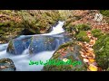 أنشودة | أبا الزهراء | للمنشد مسعود كرتس(بدون إيقاع)