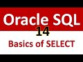 Oracle SQL Developer Tutorial For Beginners  14   Basics of a SELECT statement