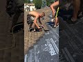 fastest roofer in canada