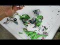 shredding animal planet dinosaurs bucket what s inside