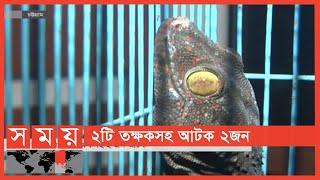 পাচার করা হচ্ছিলো বিলুপ্ত প্রজাতির তক্ষক! | Chattogram News Update | Somoy TV