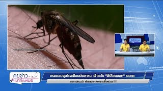 คุยข่าวเมาท์กับหมอ : เฝ้าระวังไข้เลือดออกระบาด, ร้อนจัดตะขาบเข้าบ้าน : พบหมอรามาฯ 1.5.2562