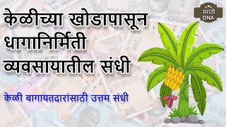 🔴केळीच्या खोडापासून धागानिर्मिती व्यवसायातील संधी🔴keli khodapasun dhaga nirmiti🔴business ideas 2022