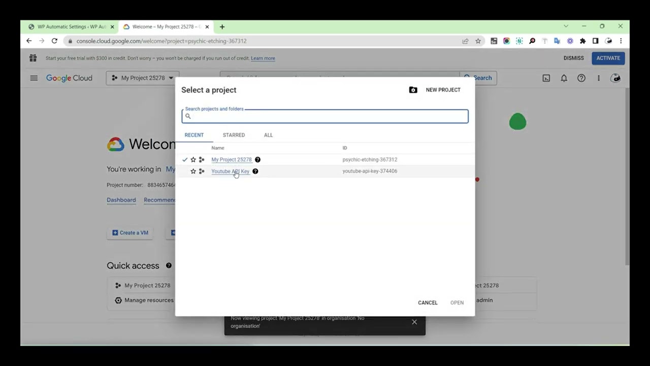 How To Get Youtube API Key For WP Automatic Plugin - YouTube