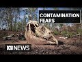 Dumped horse carcasses trigger investigation over contamination in Darwin water supply | ABC News