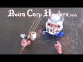 spearfishing asian carp on water skis peoria carp hunters