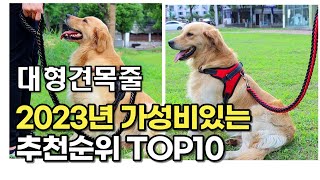 2023년 5월 대형견목줄  가성비 추천 리뷰 추천순위 top10