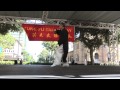 grandmaster liang shou yu at kung fu tai chi day 2013