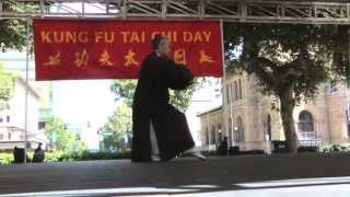 Grandmaster Liang Shou-Yu at Kung Fu Tai Chi Day 2013