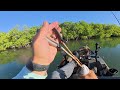 florida keys kayak fishing floating the mangrove highway