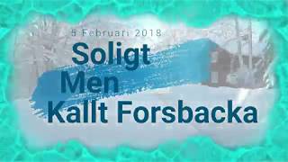 Soligt men kallt Forsbacka 5 Februari 2018