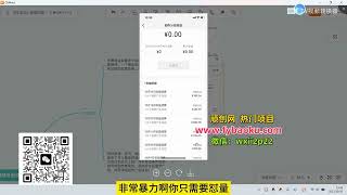 全新蓝海 视频号掘金计划 日入2000+第一课