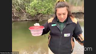 Live at the Toronto Zoo | Salmon Release