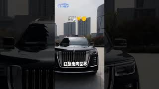 Hongqi LS7 Ultra-luxury cars from China