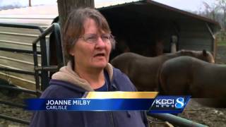 Iowan who kisses deer has saved hundreds of animals