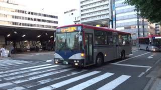 新潟駅・万代口バスターミナルの風景