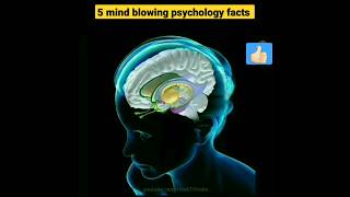 dimag hila Dene wali psychology fact 😱😱 #youtube #shorts #psychology