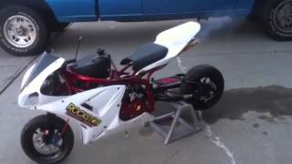 X7 custom pocket bike