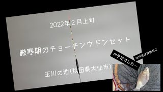 2022年2月上旬、厳寒期のチョーチンウドンセット(の予定でした・・・)