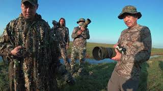 Amazing Birding Trip at Boeng Prek Lapov [Sarus Crane] - ដំណើរថតរូបសត្វស្លាប នៅបឹងព្រែកល្ពៅ 2022